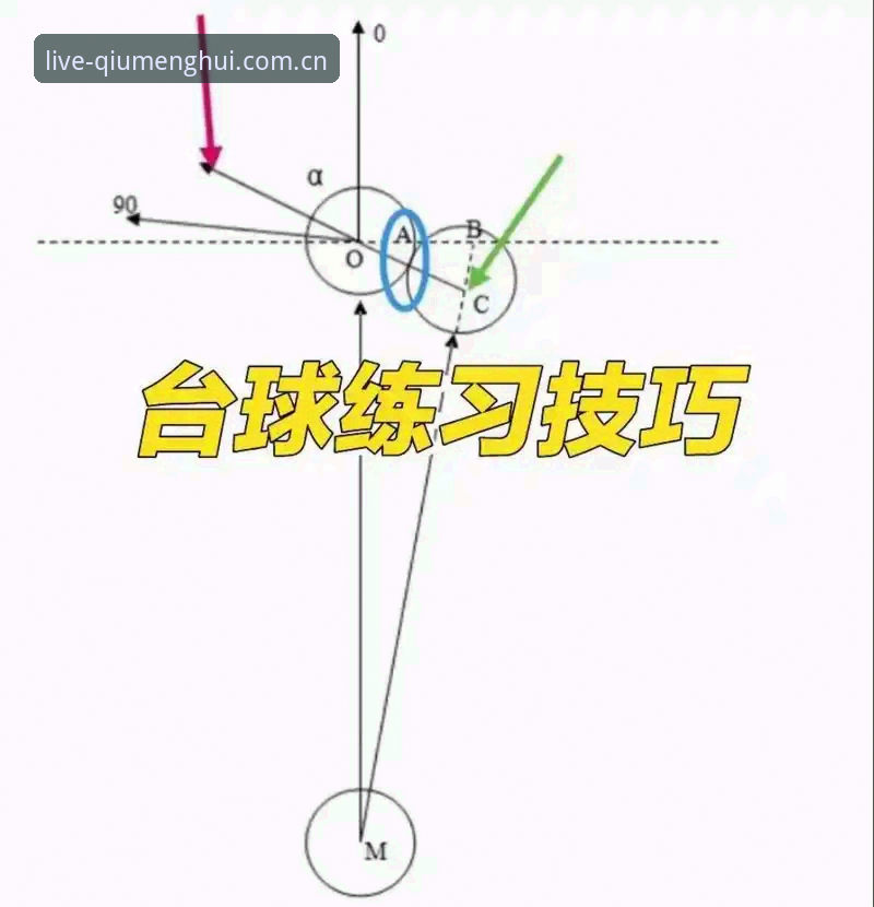 新手必看：判断球盟会体育靠谱吗的5个关键维度
